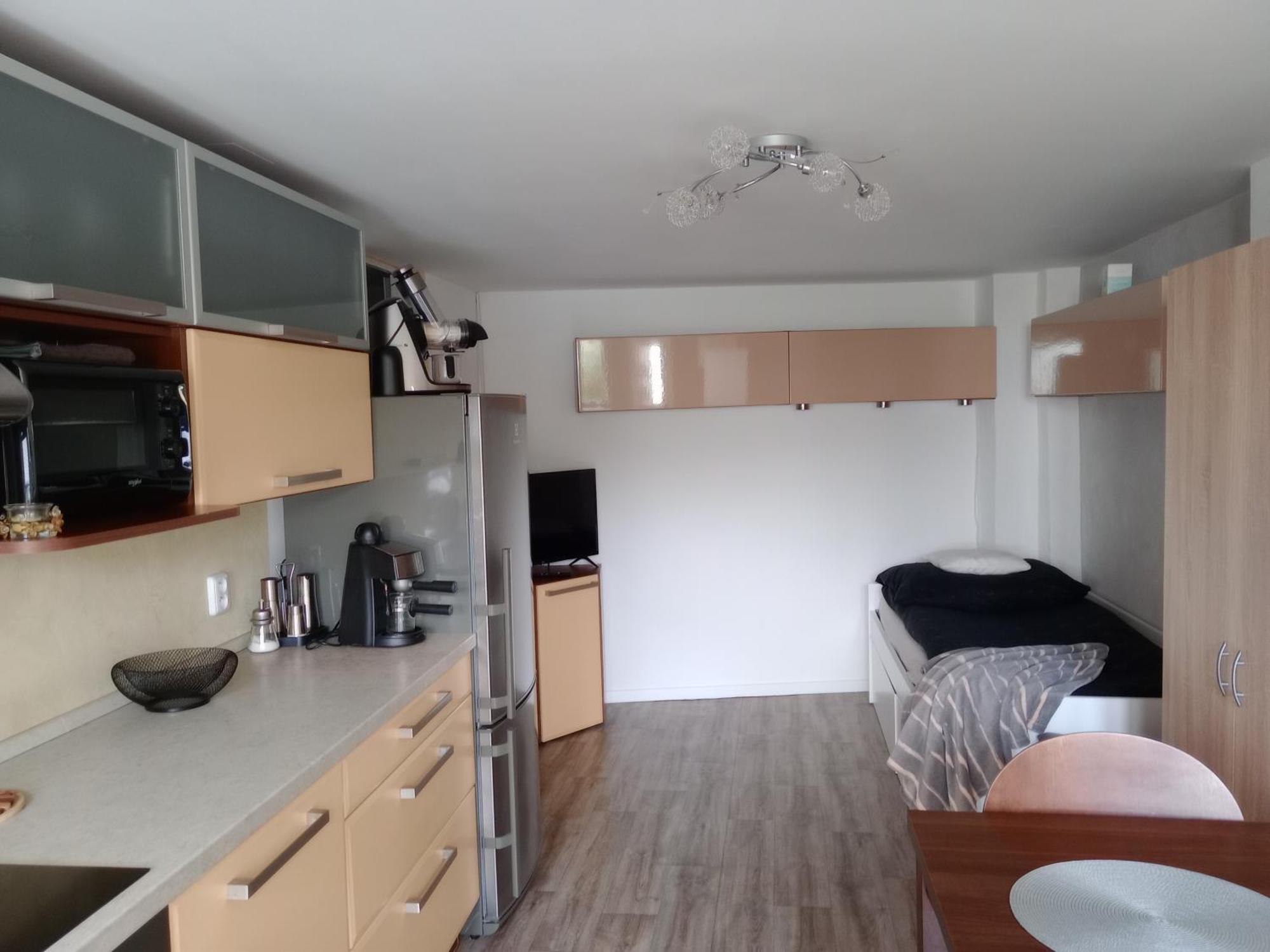 Apartman Marie Polepy 外观 照片